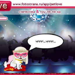 ���� �����, ���, 35 ��� - ��������� 6 ������ 2011