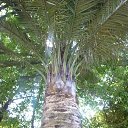 ���� ���������, ����������, 67 ��� - ��������� 25 ��� 2013 � ������ ������. �������.�