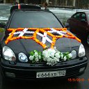 ���� ������, �����, 39 ��� - ��������� 20 �������� 2010 � ������ �������