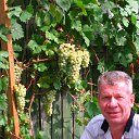 ���� ��������, ������, 64 ���� - ��������� 5 ���� 2012 � ������ ���� ����������