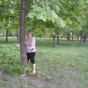 ���� ������, ����������, 41 ��� - ��������� 21 ��� 2013 � ������ ���� ����������