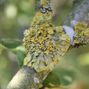 ���� �����, ������������, 32 ���� - ��������� 24 ������� 2011 � ������ ���� ����������