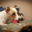 ���� Leonid, �����-���������, 39 ��� - ��������� 22 ����� 2012 � ������ ������