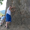 ���� ���������, ������, 44 ���� - ��������� 25 ������� 2011 � ������ ���� ����������