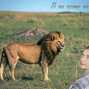 ���� �������, ������, 51 ��� - ��������� 12 ������� 2010 � ������ �������