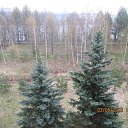 ���� ���, ������, 30 ��� - ��������� 6 ������� 2010 � ������ ��������