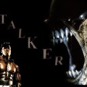 ���� ����������, ������, 31 ��� - ��������� 11 ������ 2012