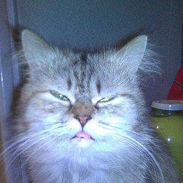 ���� �����, ������ - ��������� 27 ������ 2009