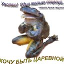 ���� ��������, ��������, 55 ��� - ��������� 22 ������� 2011 � ������ �!�