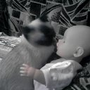 ���� ���@����@, �������, 49 ��� - ��������� 14 ����� 2010 � ������ ���� �����