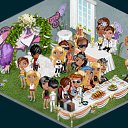  , , 30  -  15  2011   Avataria