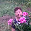 ���� �����, ��������� - ��������� 23 ��� 2013 � ������ ���� ����������