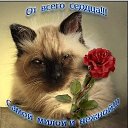 ���� ��� ����� :D, ����� - ��������� 31 ����� 2013 � ������ ������ ��������