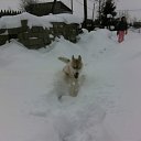 ���� ���������, �����-���������, 42 ���� - ��������� 13 ������� 2012 � ������ ���������