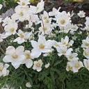 ���� �����, ��������� - ��������� 19 ��� 2013 � ������ ���� ����������