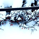 ���� Keidy, ������ - ��������� 12 ������ 2010 � ������ ����,����� � ��� ����