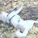 Facebook thePo.st :: 
��������� www.thePo.st :: �� ������� ���� ���� ������