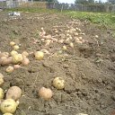 ���� ����������, ������, 58 ��� - ��������� 20 ������ 2013 � ������ ���� ����������