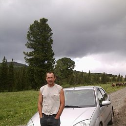 �������, �����-�������, 51 ���