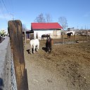 ���� ���������, �������, 59 ��� - ��������� 17 ��� 2013 � ������ ���� ����������