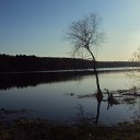 ���� �����, ������, 33 ���� - ��������� 24 ��� 2010 � ������ �����������