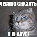 ���� ...������, ��������� - ��������� 17 �������� 2012 � ������ �������