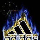 ���� ����, ������������, 30 ��� - ��������� 22 ������� 2012