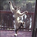 ���� �����, ������, 23 ���� - ��������� 17 ������� 2010 � ������ ������