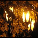 ���� �����, ������ - ��������� 1 ������ 2010 � ������ �������-��� ����� ������!�