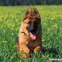 ���� ����, ������, 27 ��� - ��������� 2 ������ 2012