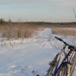 ���� �����, �����������, 46 ��� - ��������� 13 ��� 2011