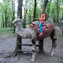 ���� ����������, ����������, 25 ��� - ��������� 2 ���� 2013