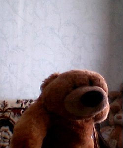 ���� �����, ������, 34 ���� - ��������� 17 ������� 2012