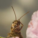 ���� �leksandr, ����������, 69 ��� - ��������� 25 ���� 2013 � ������ ���� ����������