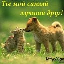 ���� ����), ���������� - ��������� 30 ������ 2009 � ������ ���������