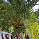 ���� ������, ������, 49 ��� - ��������� 18 ���� 2013 � ������ �������