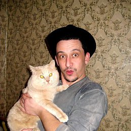 ������ ���������, ���, 44 ����