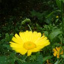  Zima,  -  12  2012   -