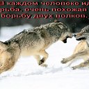 ���� [�����], �����������, 34 ���� - ��������� 27 ���� 2013