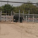 ���� ������, ������-��-����, 41 ��� - ��������� 8 ��� 2012 � ������ �� ��������