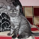  Elena, , 52  -  19  2012    