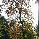  ,   -  11  2012    ܻ