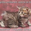���� ����, ����, 25 ��� - ��������� 26 ������� 2011 � ������ �Avataria�
