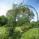 ���� ��������, ������, 72 ���� - ��������� 16 ������ 2012 � ������ �������