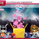 ���� ����������, ������� - ��������� 20 ����� 2011 � ������ �PetLove�