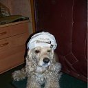 ���� �����, ������, 56 ��� - ��������� 3 ������ 2011 � ������ ���� ���������