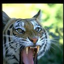 ���� Maxsm, ������, 45 ��� - ��������� 10 �������� 2012