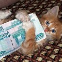 ���� ���������, ������, 44 ���� - ��������� 29 ���� 2011 � ������ ���� ���� ��