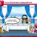 ���� Jeka, �����-���������, 38 ��� - ��������� 2 ������� 2010 � ������ �PetLove�