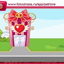  , , 35  -  31  2011   PetLove